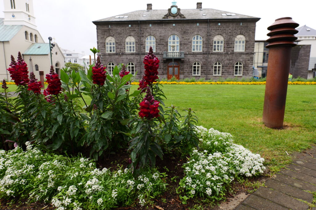 Alþingishúsið séð frá Austurvelli